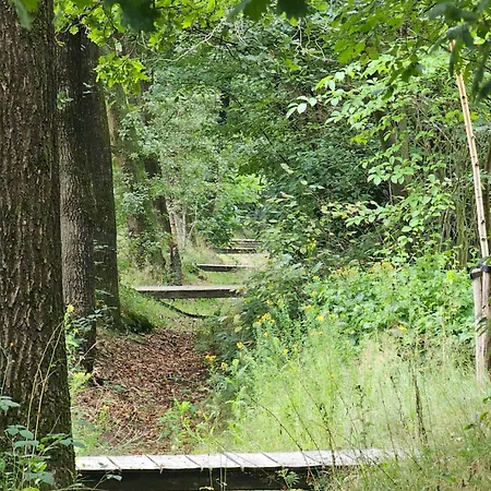 Type Korhoen 6p * Otterlo